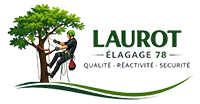 elagage-laurot-elagage-78